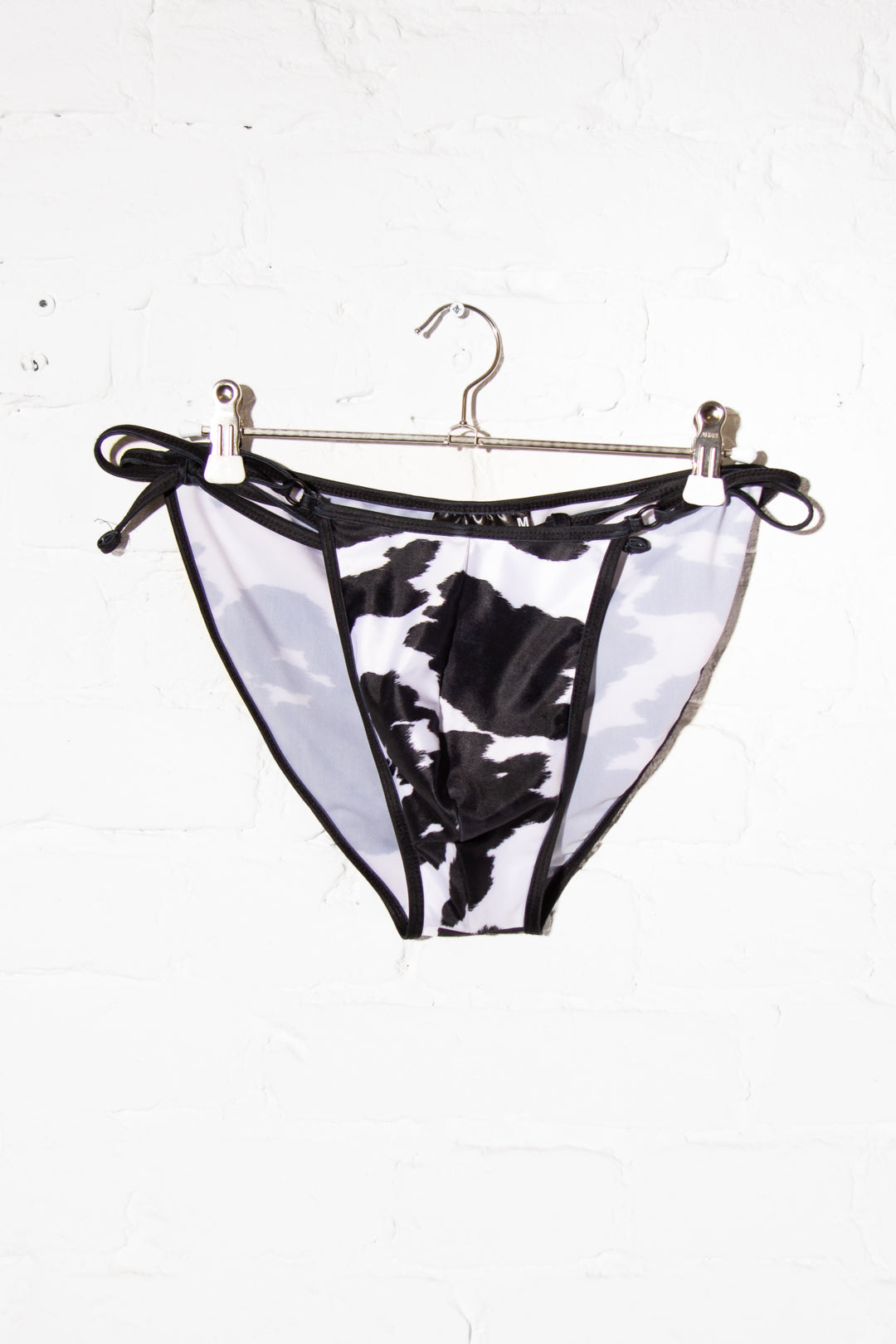 Cow Swim - Sample
